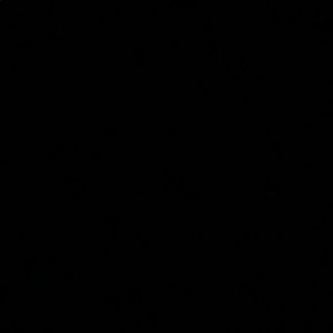 Meet your Posher, Shiloh